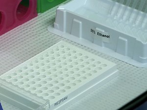 Development of an IFN-γ ELISpot Assay to Assess Varicella-Zoster Virus-specific Cell-mediated Immunity Following Umbilical Cord Blood Transplantation