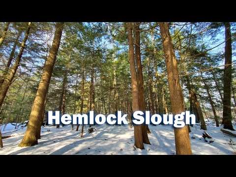 Hemlock Slough in Winter
