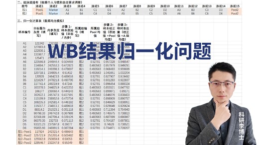 WB结果归一化问题的一些考虑及归一化演示