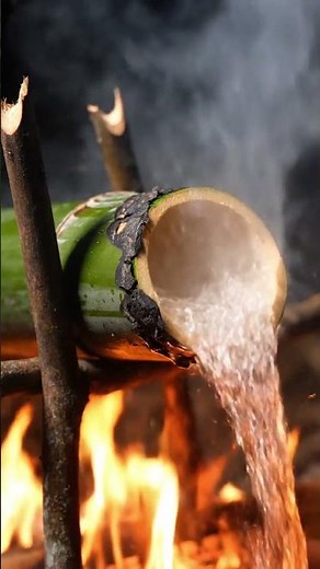 Simple Outdoor Cooking | No Talking, Nature Sounds