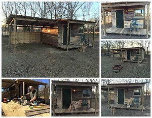 Tiny Off Grid Cabin Made from Pallets & Reclaimed Lumber • 1001 Pallets