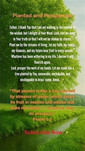 🌿Planted and Prosperous