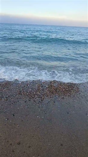 Sensational moment #cute #beach #sunset