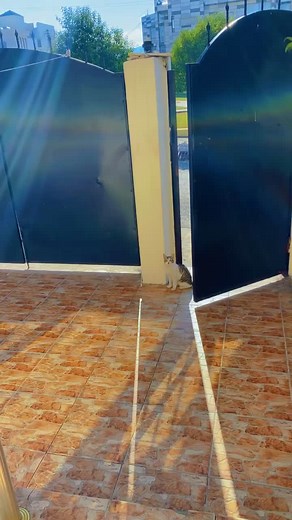 ⚜️ SAMKO ⚜️ على TikTok