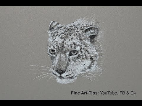 How to Draw a Snow Leopard - Narrated