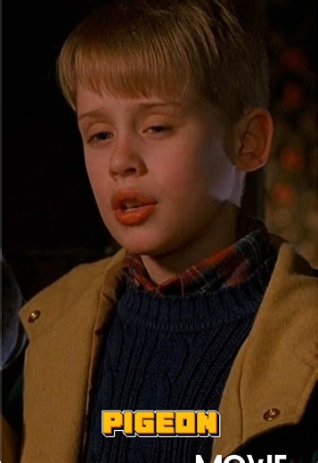 Home Alone 2: Pigeon Lady's Heartwarming Scene
