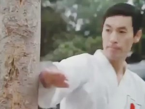 SHUTO TRAINING 🖐🏻 | Learning Karate