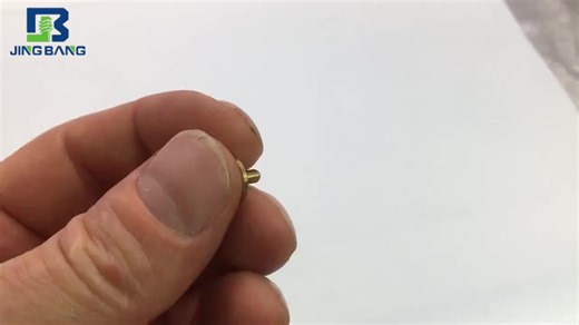 ステンレス製平頭シカゴスクリュー/雌ねじ付きセックスボルト