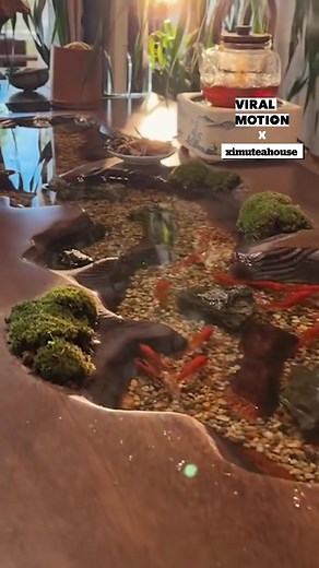 This table has a built-in fish tank 🤯 🎥 | Viral Motion