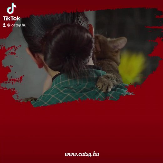 Cicás ékszer cicarajongóknak! 😻😻 #macska #macskak #cica #ekszer #catsy