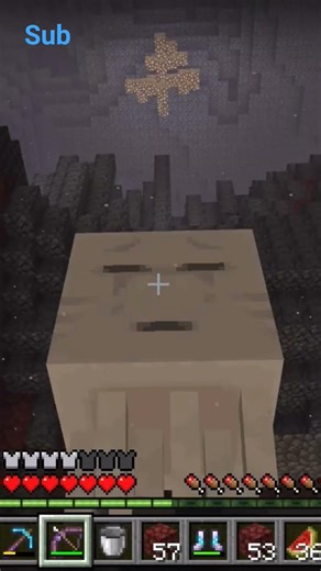 Nether#gamer #games #gaming #nintendoswitch2 #carlpop39 #minecraft