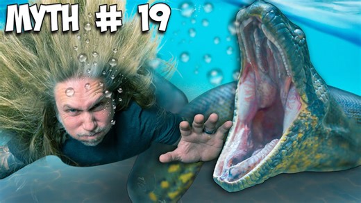 Busting 25 snake myths in 25 hours