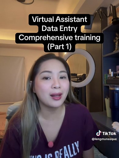 Understanding Data Entry Virtual Assistants: Day 1