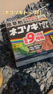 [Weed Control] The Disaster of Weed Barrier Fabric in Year 2 and How to Fix It [Yakichi Style]