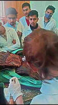 Live Human Body Postmortem || Human Organs