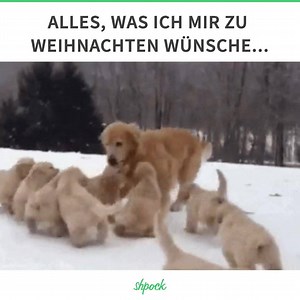 😍 Finde dein perfektes Weihnachtsgeschenk auf Shpock ➡️ http://bit.ly/shpockdoch | Shpock - kaufe und verkaufe in deiner Nähe