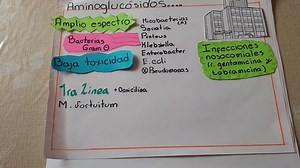 Efectos secundarios de amikacina, interacciones, usos e impronta de drogas - Salud 2026