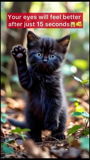 Eye gymnastics with a little kitty👀🫶