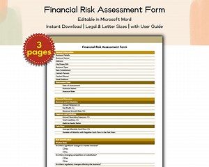 Financial Risk Assessment for Businesses – Editable and Printable Template to Evaluate Financial Stability, Risk Factors & Mitigation Plans - Etsy Australia