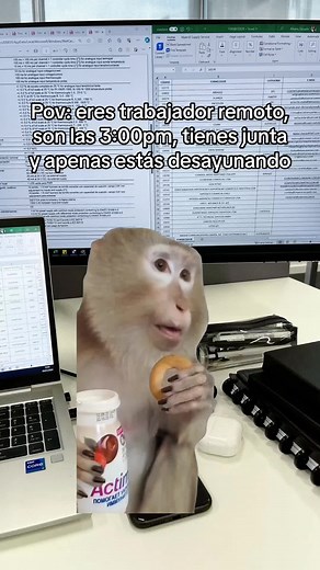 Humor sobre el Trabajo Remoto y Reuniones Virtuales