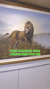 Inside their charming tiny home on wheels🚐 #tinyhouse #tinyhomecommunity #tinyhouseliving #tinyhousejourney #minimalistlifestyle #tinyhouseadvocate #diyhomes #communitydevelopment #homesweethome #simpleliving | Tiny House Expedition