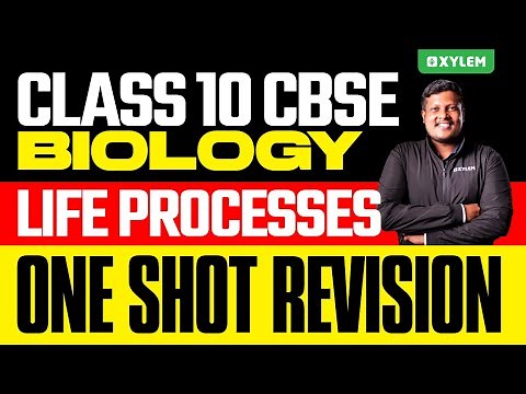 Class 10 CBSE Biology | Life Processes - One Shot Revision Xylem Class 10 CBSE