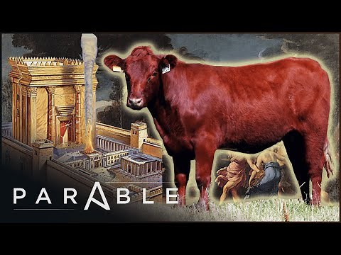 Unraveling the Secret of the Red Heifer Prophecy | Parable
