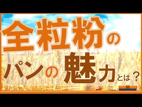 What are the health benefits of whole wheat bread? [Explained by an internist]