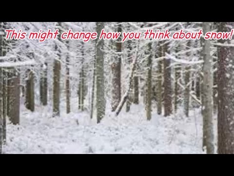 How snow is ACTUALLY formed! This MIGHT change how you look at SNOW! ❄️