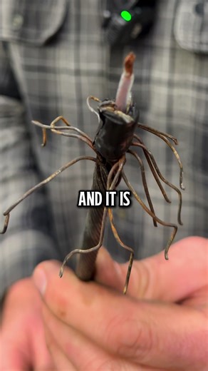 Understanding Wood Wireline: Types and Uses