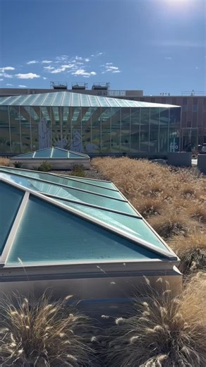 It’s Christmas time here on BYU campus! How will you make this holiday season special? #byualumni #LightTheWorld #byucampus | BYU Alumni