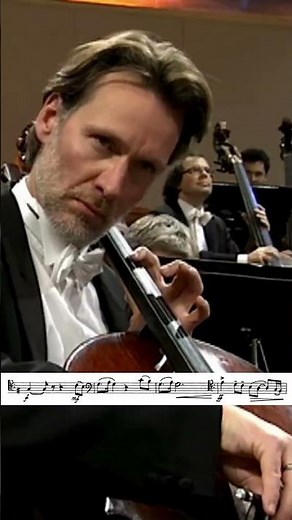 one of the most iconic cello moments: Pas de Deux from Tchaikovsky’s Nutcracker #Nutcracker