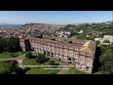 Documentario Museo e Real Bosco di Capodimonte - #UniMercatorum