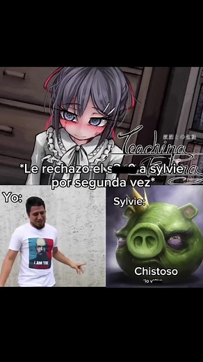 Sylvie Teaching Feelings: Exploring Emotions and Relationships