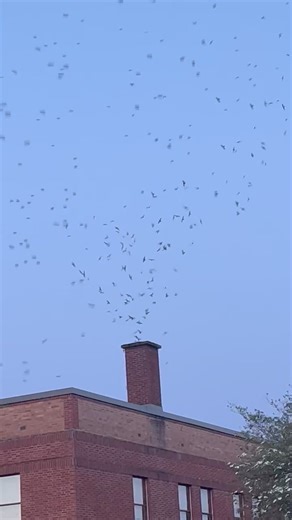 1.4M views · 27K reactions | One of nature's amazing phenomenons is...