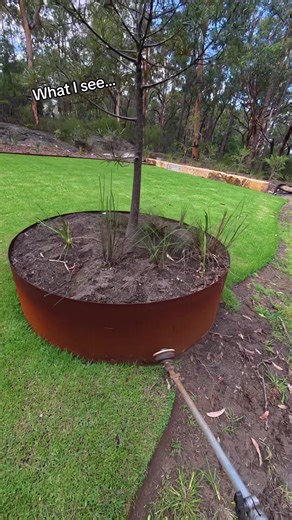 Tree Ring Edging Techniques with Osmo Nano and STIHL KMA135R