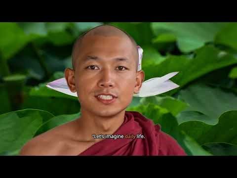 B1 English Lesson 22: Talking About Work – Jobs, Responsibilities, and Career Choices