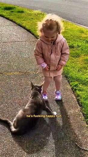 5.2K views · 123 reactions | When your kid says a swear word like it's a normal word.. 臘藍 #funny #funnykids #swearwords #toddlerbein #fypシ゚ | Laugh & Scream | Facebook