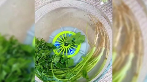 Efficient Portable Fruit and Vegetable Washers, 2025 New Fruit Cleaner Spinner, Electric Fruit Washing Machine, USB Automatic Fruit Cleaner Device for Cleaning Fruits, Vegetables and Meat (E Plug-in)