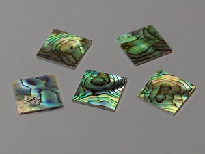 Abalone Shell Squares: Jewelry & Instrument Inlay 20x20x1.5mm - Etsy UK
