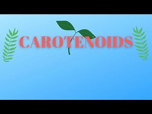 CAROTENOID-TYPES AND FUNCTIONS