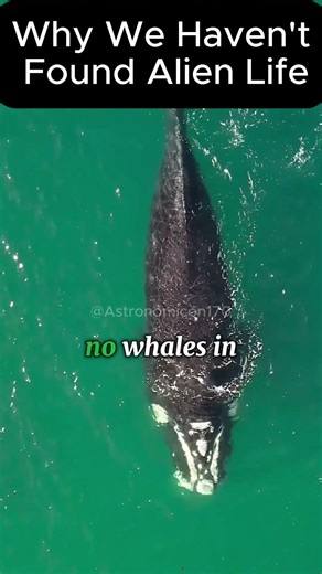 How Vast is Space? w/ Neil deGrasse Tyson