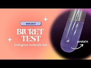 [9700] Cambridge International A-Level Biology Lab: Biuret Test | Testing for Proteins [ChemPraxis]