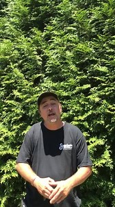 See me! June 15th! | Steve Tickle