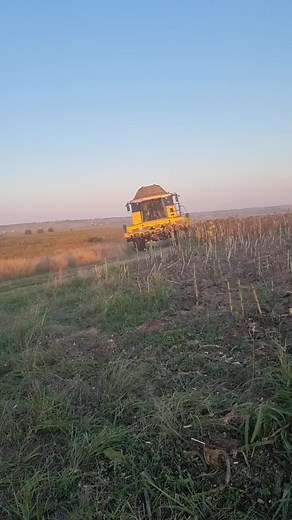 New Holland CX860 Combine Harvester in Action