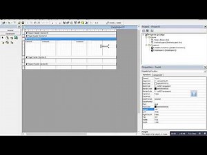 Data Report and Data Environment in Vb6