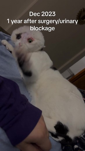 Heartwarming Transformation: Chief's Journey After Eyelid Surgery