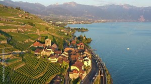 Lavaux, Switzerland: Cinematic aerial drone footage of a train riding through the Lavaux vineyards along lake Geneva in Canton Vaud in Switzerland in late afternoon by the Saint Saphorin village.