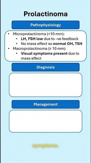 Prolactinoma for med students #medicaleducation #endocrinology