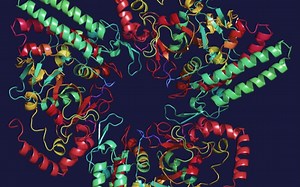 SCP-008 - 丧尸病毒